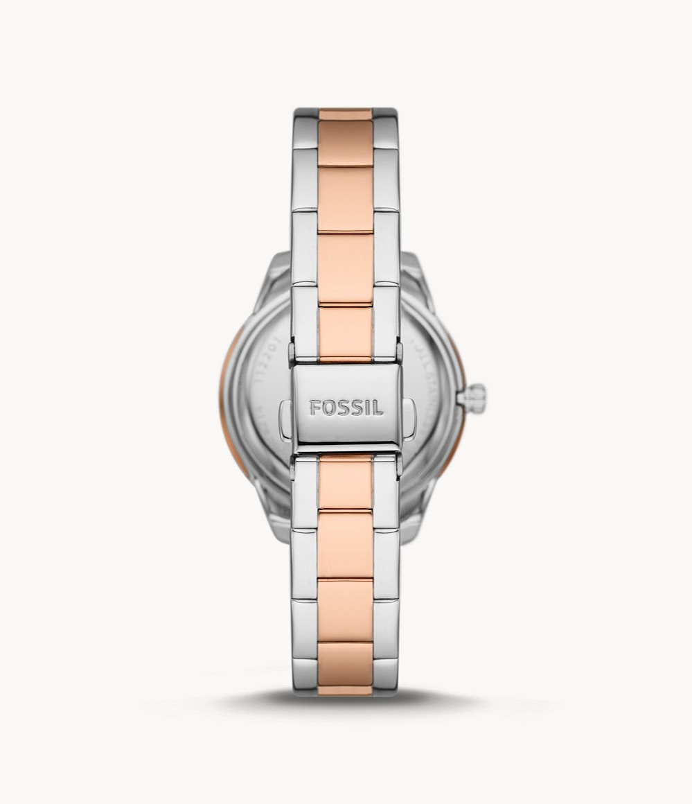 FOSSIL+ME3214